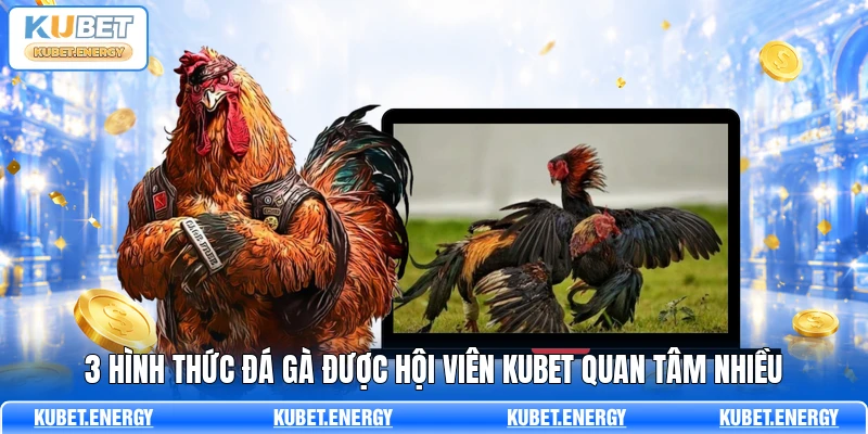3 hình thức đá gà được hội viên KUBET quan tâm nhiều