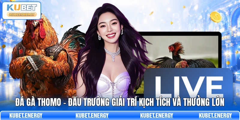 Đá Gà Thomo - Đấu Trường Giải Trí Kịch Tích Và Thưởng Lớn