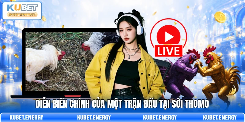 Diễn biến chính của một trận đấu tại sới thomo Diễn biến chính của một trận đấu tại sới thomo