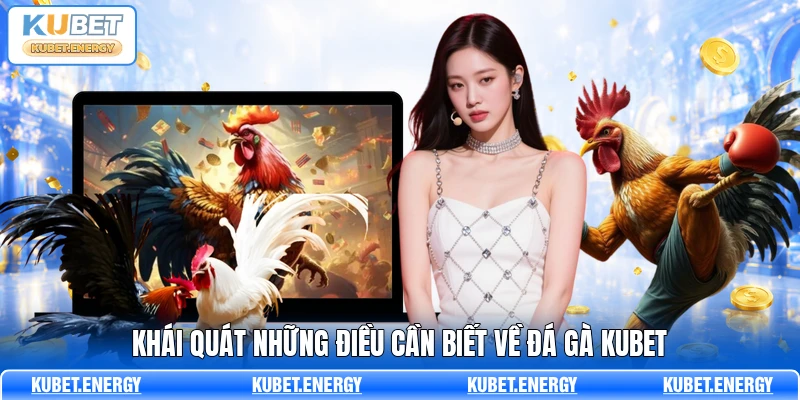 Khái quát những điều cần biết về đá gà KUBET