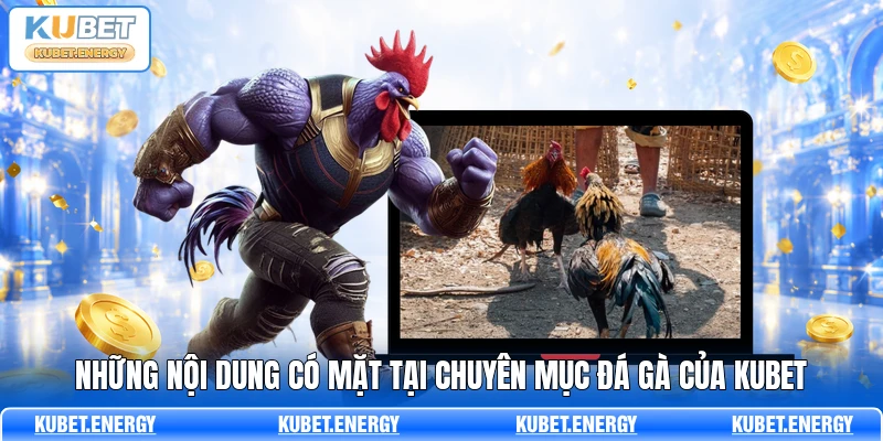 Những nội dung có mặt tại chuyên mục đá gà của KUBET