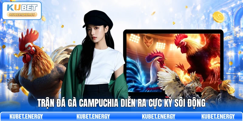 Trận đá gà Campuchia diễn ra cực kỳ sôi động